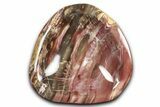 Colorful Polished Petrified Wood Bowl - Madagascar #346823-1